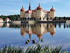 Barockschloss Moritzburg bei Dresden