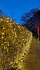 Christmas Garden Hamburg