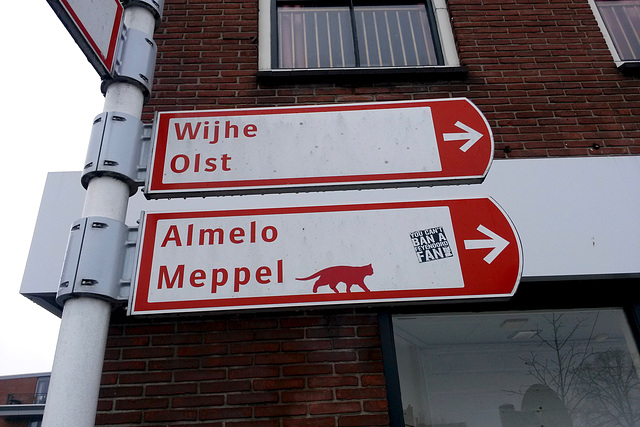 Zwolle 2016 – Sign for cats