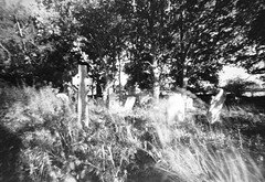 pinhole graveyard