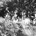 pinhole graveyard