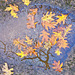 Reflet d'automne 151054