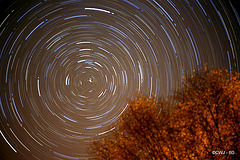 Startrails 2015 11 03 around Polaris from the courtyard this evening