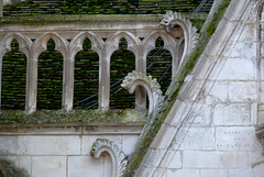 Auxerre - abbaye Saint Germain