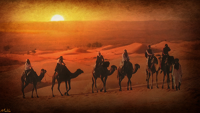 Les hommes du désert / The men of the desert