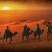 Les hommes du désert / The men of the desert