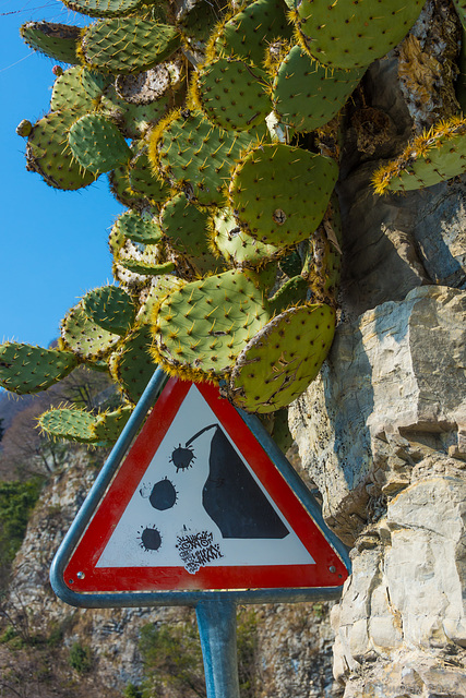 klare Hinweisschilder auf dem 'Sentiero di Gandria' (© Buelipix)