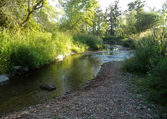 Picturesque creek / Un ruisseau pittoresque