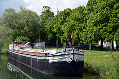 Museumsschiff MS CABRO im Muehlrhein in Offendorf ( F )