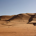 Wahiba Sands Desert (Oman)