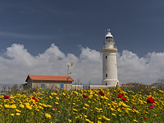 Lighthouse and flowers
