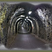 Tunnel am Stausee im Calveisensee
