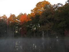 Foggy sunrise on the pond