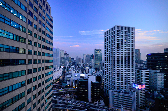 Tokyo, vista desde el Hotel New Otani