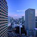 Tokyo, vista desde el Hotel New Otani