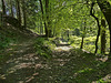 Simmerath Germany - Walk trough the woods