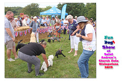 Fun Dog Show St Andrew's Fete 2019 b