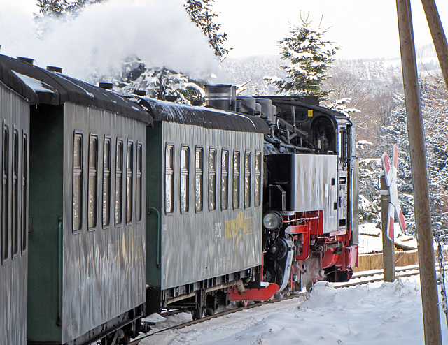 Zug der Fichtelbergbahn gezogen von 99 794 (Baujahr 1956)