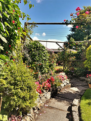 My Mum's garden. 3 HFFs today - I'm in a generous mood!