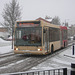 DSCN3752  Essex County Buses V119 LVH in Bury St. Edmunds - 6 Jan 2010