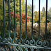 Botanical Gardens. Paseo del Prado, Madrid. 3 HFFs today - I'm in a generous mood!
