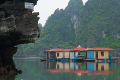Floating fishing village in Halong bay