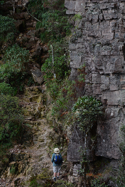Venezuela, Roraima, Ascent along the South-West Trail