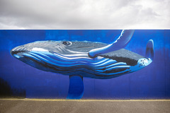 Whale Mural, Black Watch Parade, Dundee