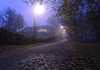autumn twillight