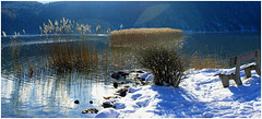 Winter Impressionen am Weissensee... ©UdoSm