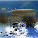 Winter Impressionen am Weissensee... ©UdoSm