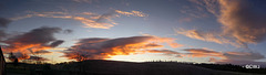 Winter Dawn Panorama
