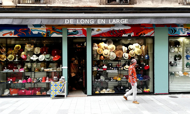 Lyon -  De Long en Large