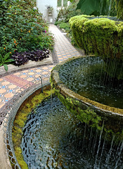 Lyme Park, Orangery Fountain.