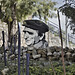 Portrait of Yoav ben Dov – Artists’ Village, Ein Hod, Haifa District, Israel