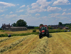Starting on the hay
