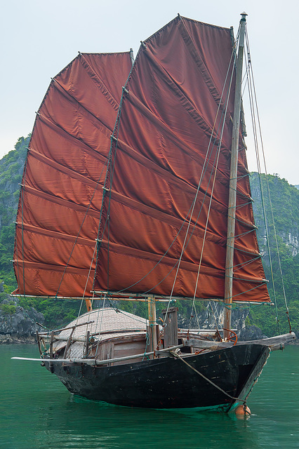 Junk in the Halong bay