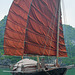 Junk in the Halong bay