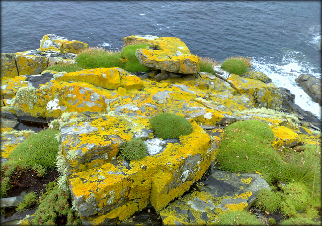 Granite and lichen