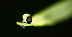 Die Glasperle aus der Natur :))  The glass pearl from nature :))  La perle de verre de la nature :))