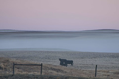 Sunday sunrise at Cypress Hills