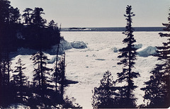 Batchawana Bay, Ontario. March 1984