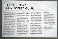 IMG 8960-001-Brain Forest Quipu Cecilia Vicuña