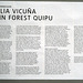 IMG 8960-001-Brain Forest Quipu Cecilia Vicuña
