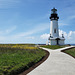 Yaquina Lighthouse (+6 insets)