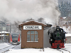 99 794 der Fichtelbergbahn und ein Desiro der Erzgebirgsbahn (642 738-9) im Bahnhof Cranzahl
