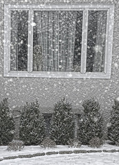 A Norman Rockwell Winter Scene