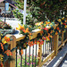 HFF..another angle of the colorful fence in Helen, Georgia... (see the carriage in the background :)
