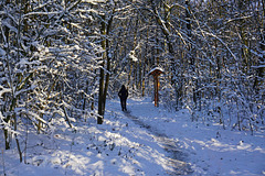 Schneewanderung - Hiking in the Snow