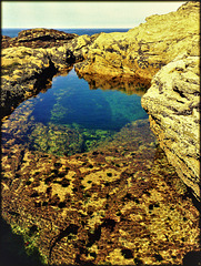 Rock pool for Pam and Rosa (who have both often expressed a love of rock pools)